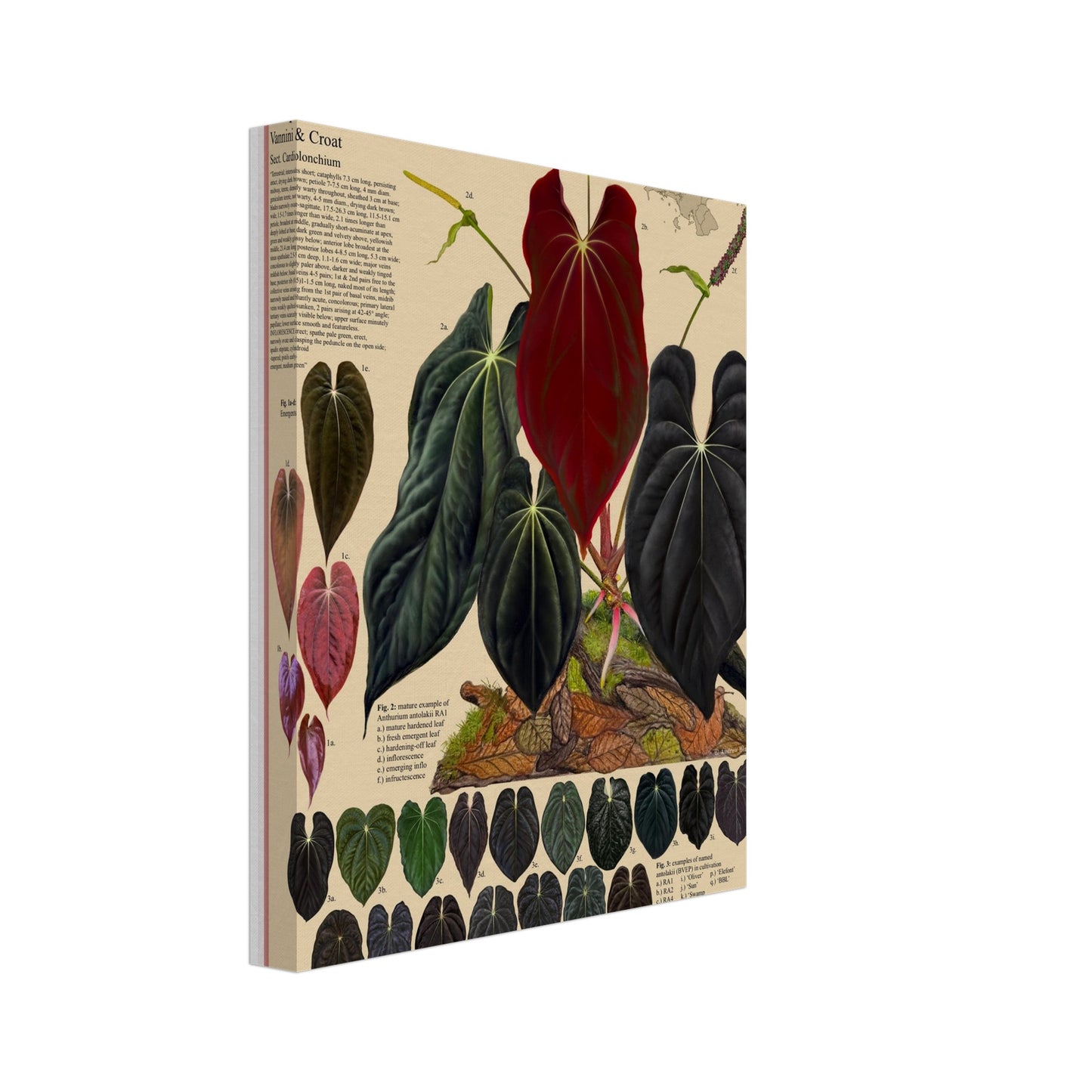 0c2c4365-8a00-42fb-971b-9cfe1c45654e