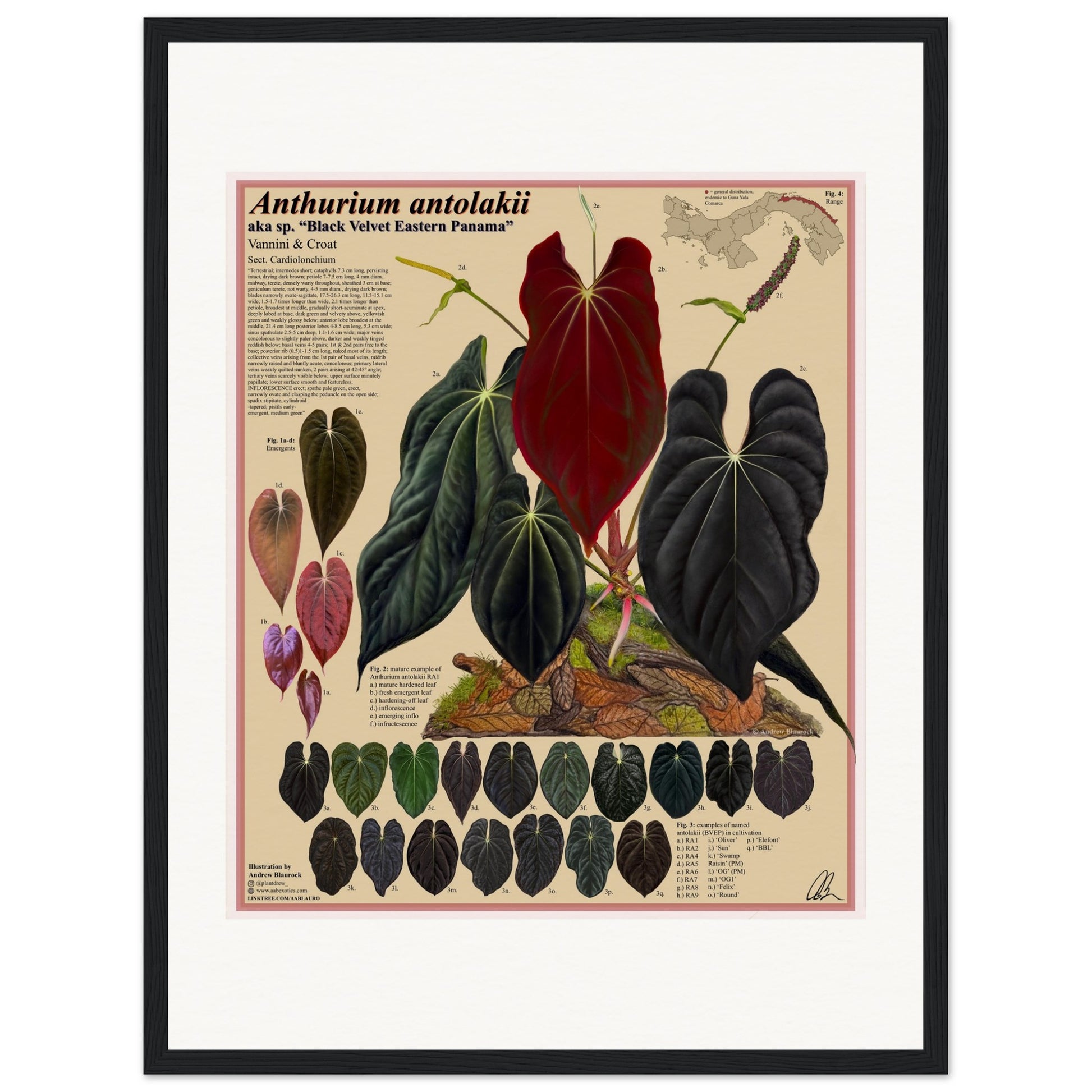 17f023e7-e39e-4bad-90a3-b87c47db2d1f