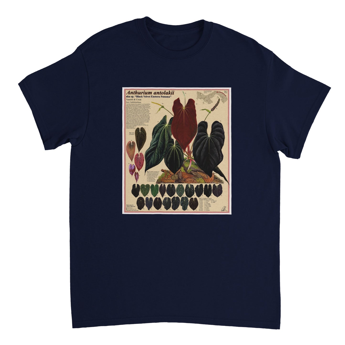 2a219e95-0a47-457f-bda1-071cd1e3521f