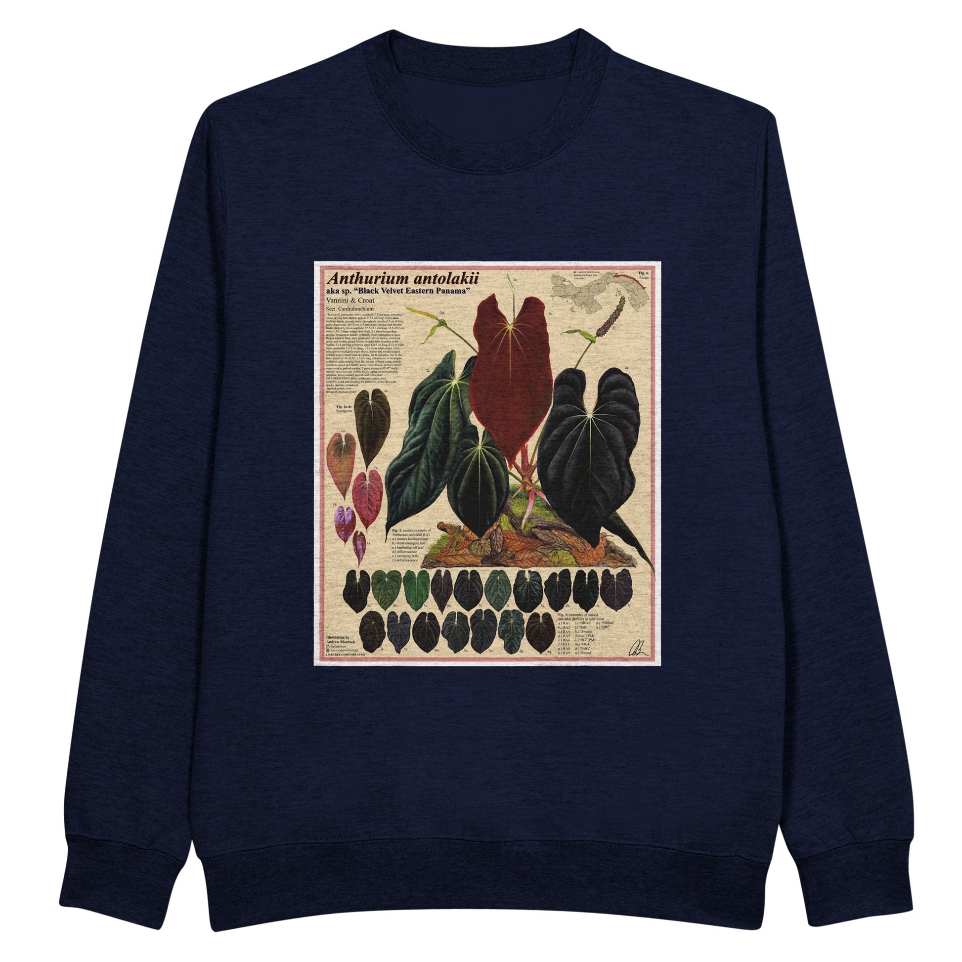 30a555a8-0ddb-44e7-9c78-271aafeb041a