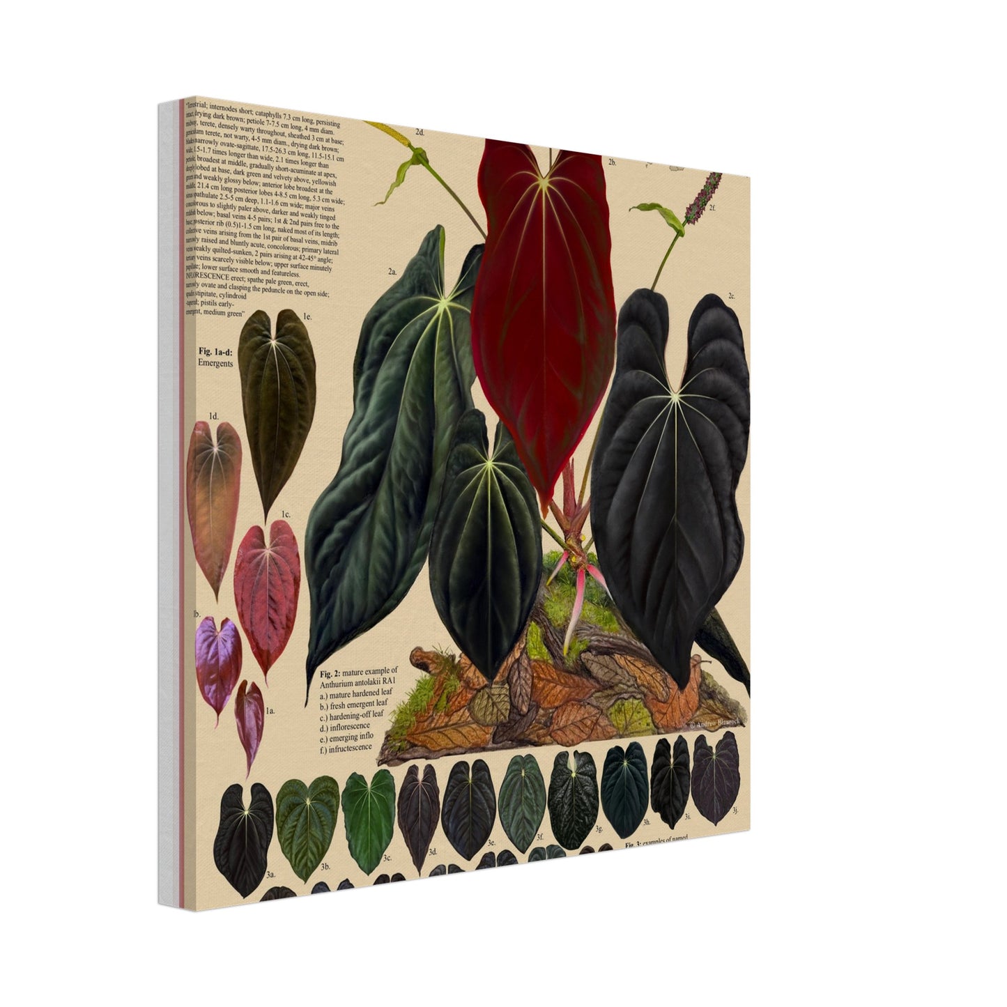 3fa80922-a80b-4c04-8c49-1c1ab2f7bad5