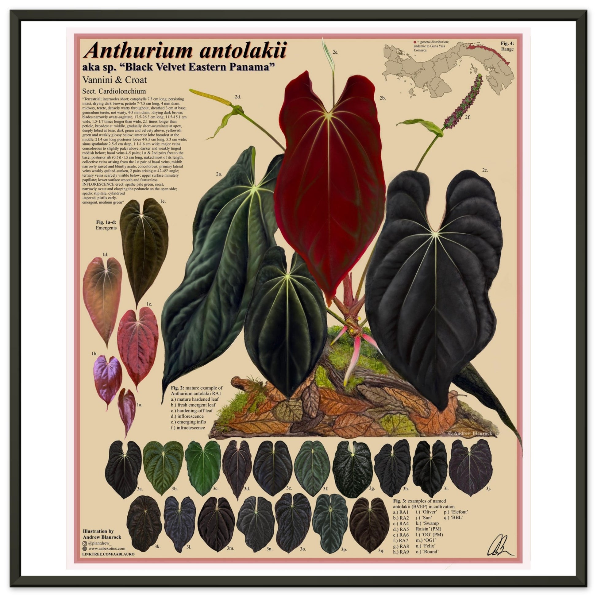 77237b39-3ed2-4b11-9a4d-e366530c5345