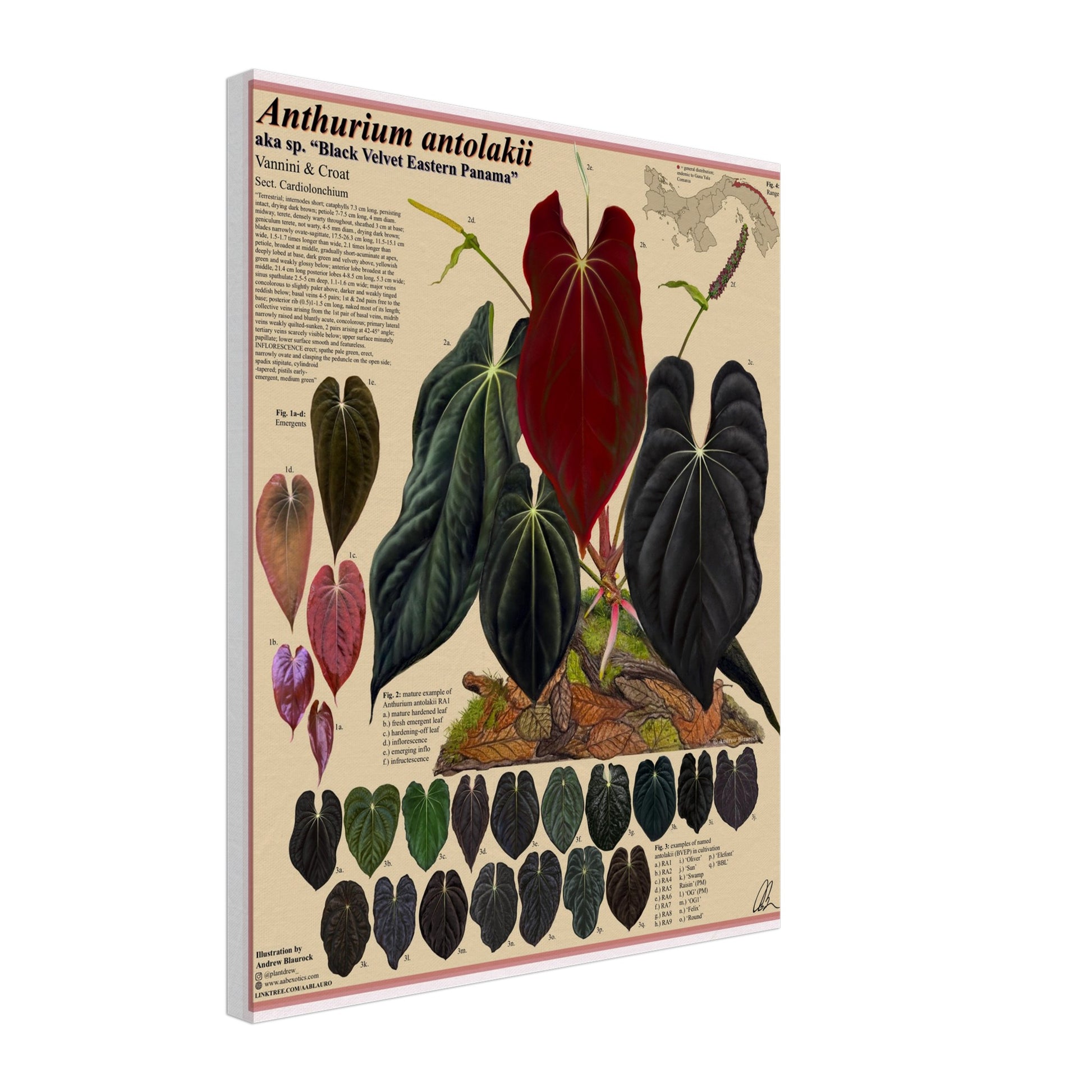 7aade188-f493-4857-a732-b6dd499e2d4c