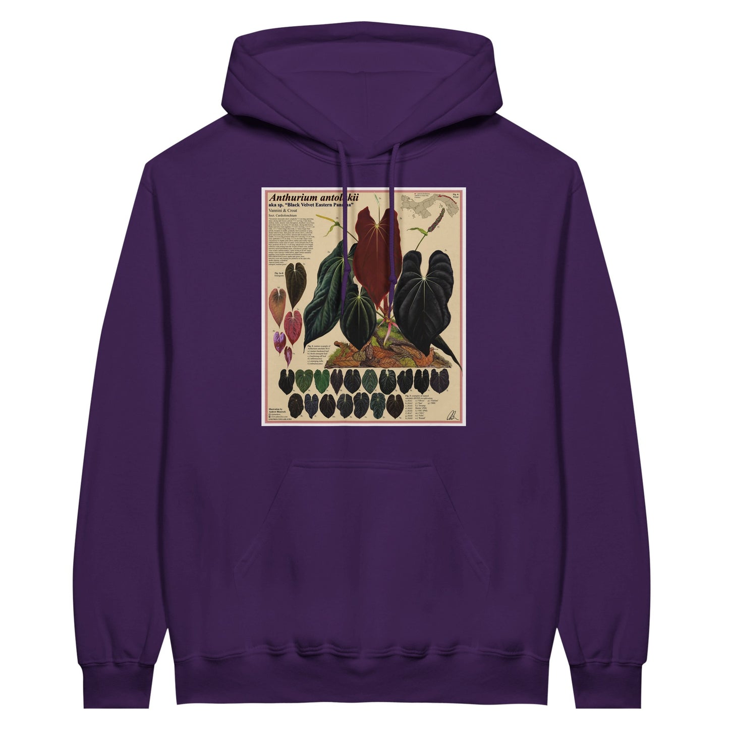 92a3bd89-2bb4-4014-ad12-d8f142b6d35b