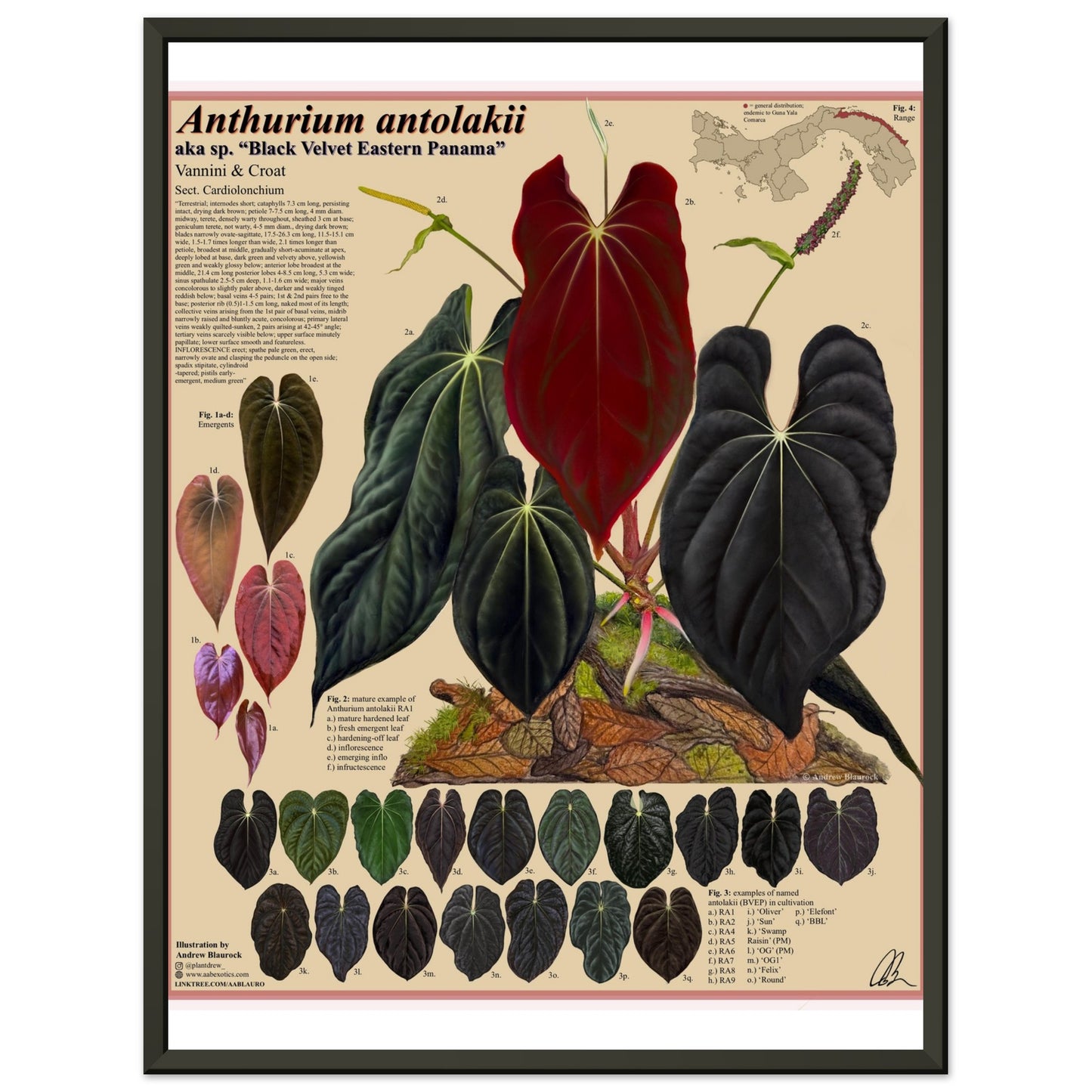 ac9d72b7-ea13-4f0b-b4ba-d0edd8797f16