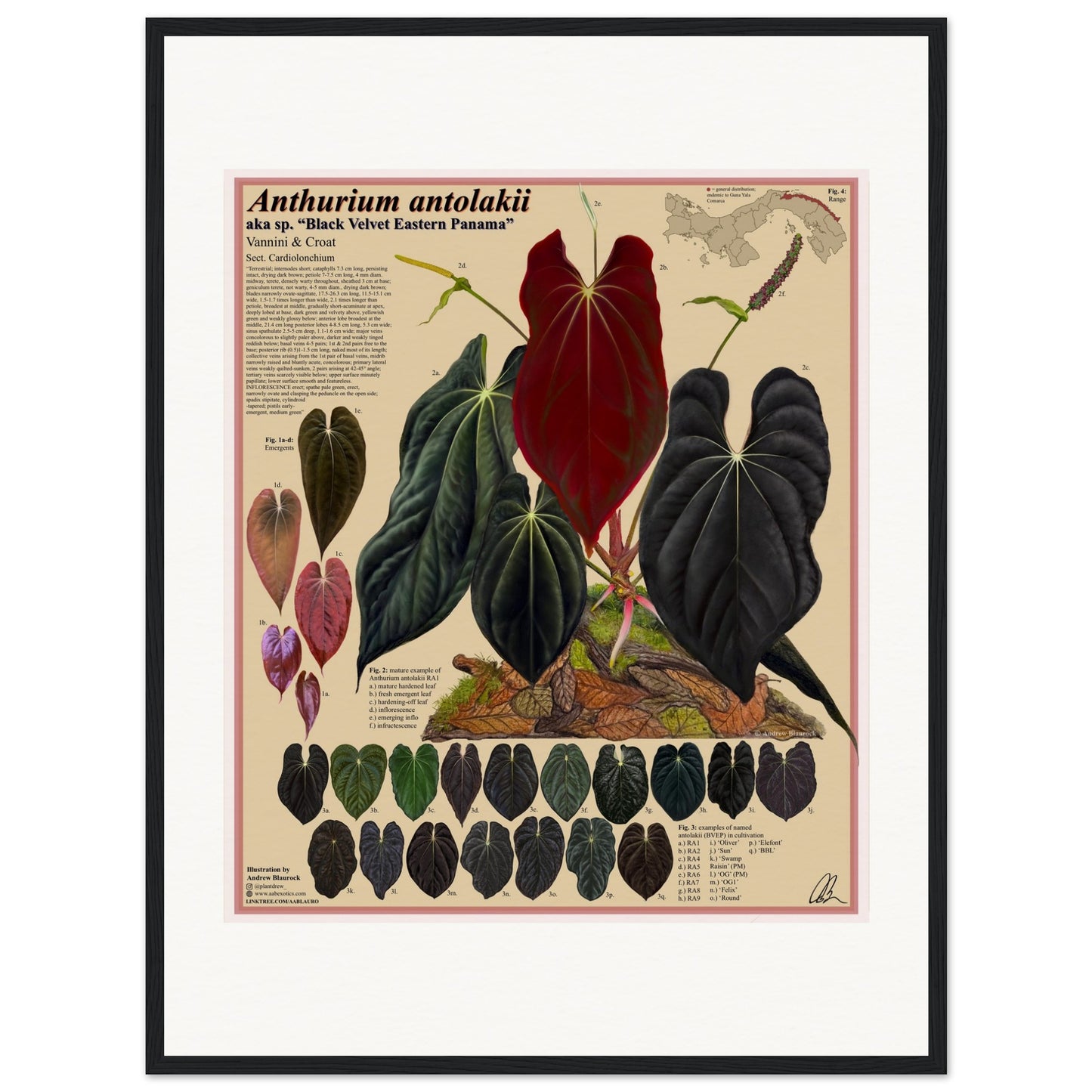 c29056ca-4229-4613-8daa-28aa88b52ca5