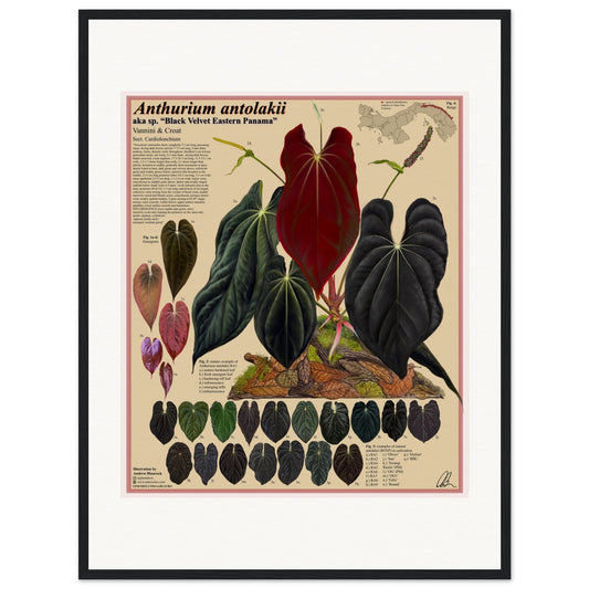 c29056ca-4229-4613-8daa-28aa88b52ca5