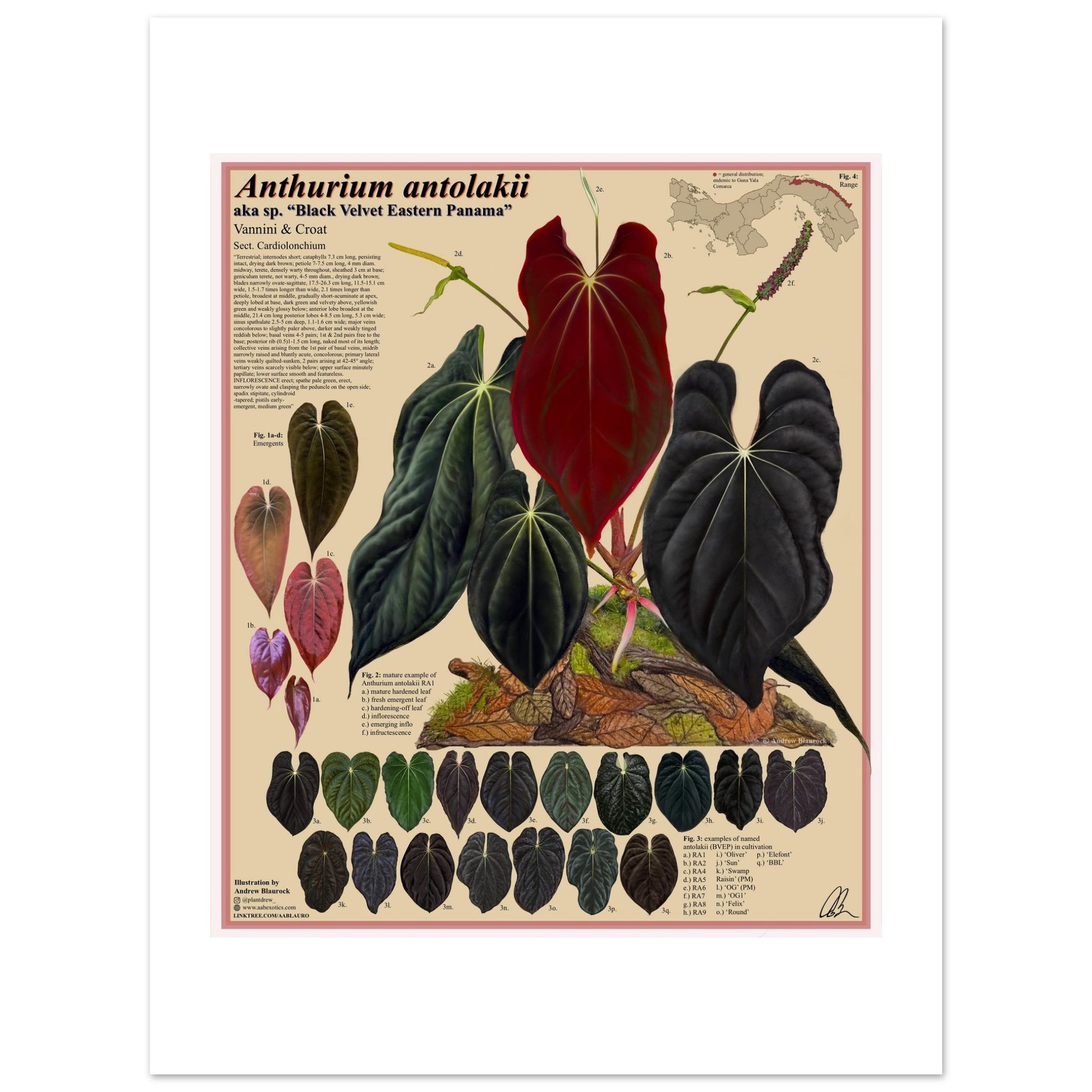 cc17d918-b77d-459d-aafb-adfb52f2985b