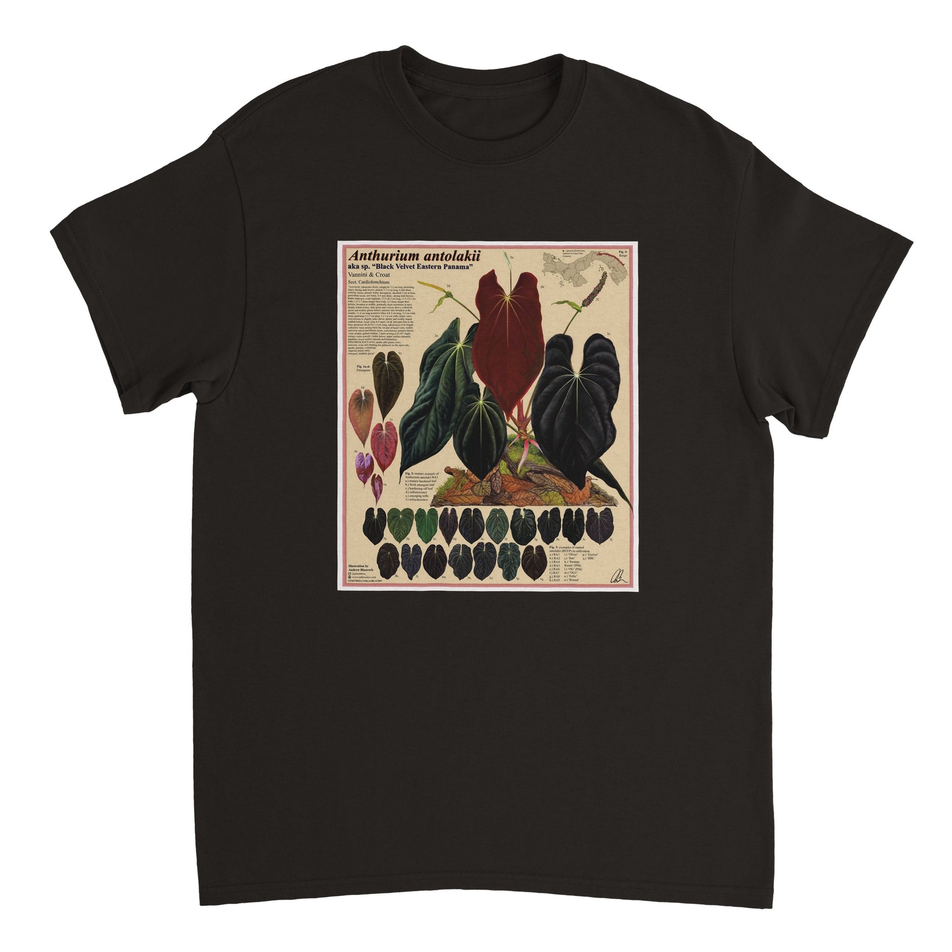 e56cb522-41cb-4be4-95bc-6c89e9e0a5ed