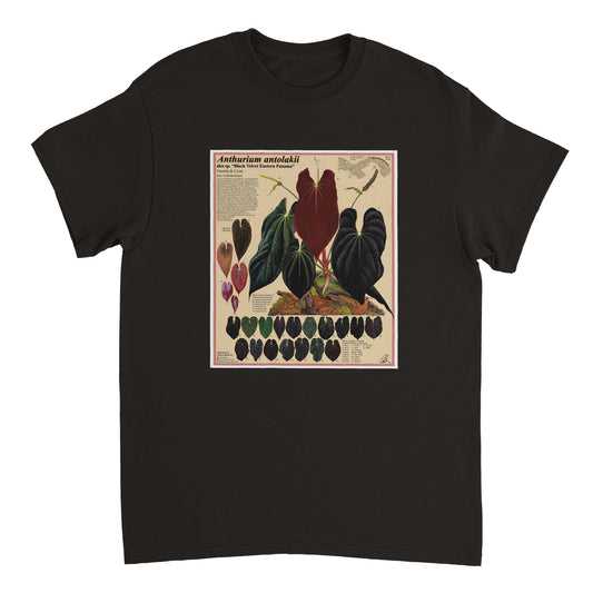 e56cb522-41cb-4be4-95bc-6c89e9e0a5ed