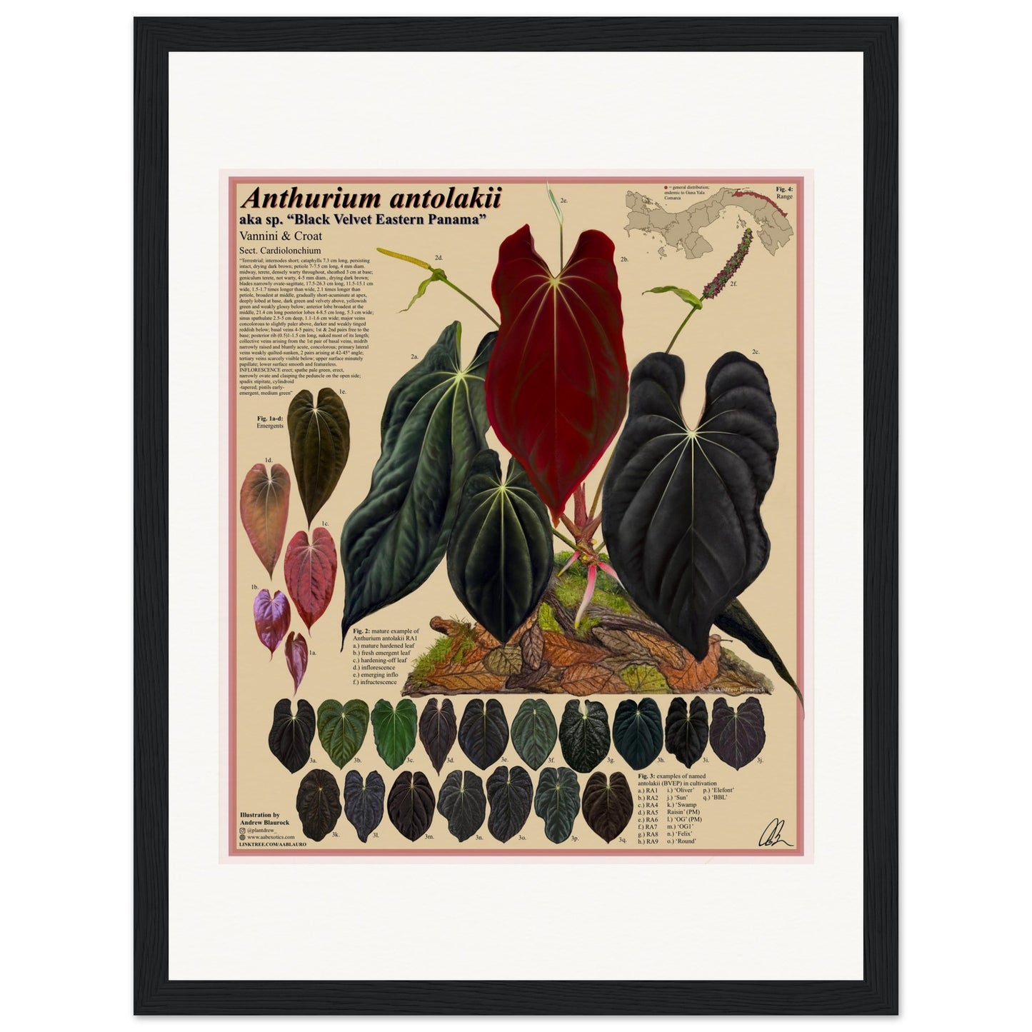 ebf65dbf-f729-42d7-a4a2-4b2fe647bda5