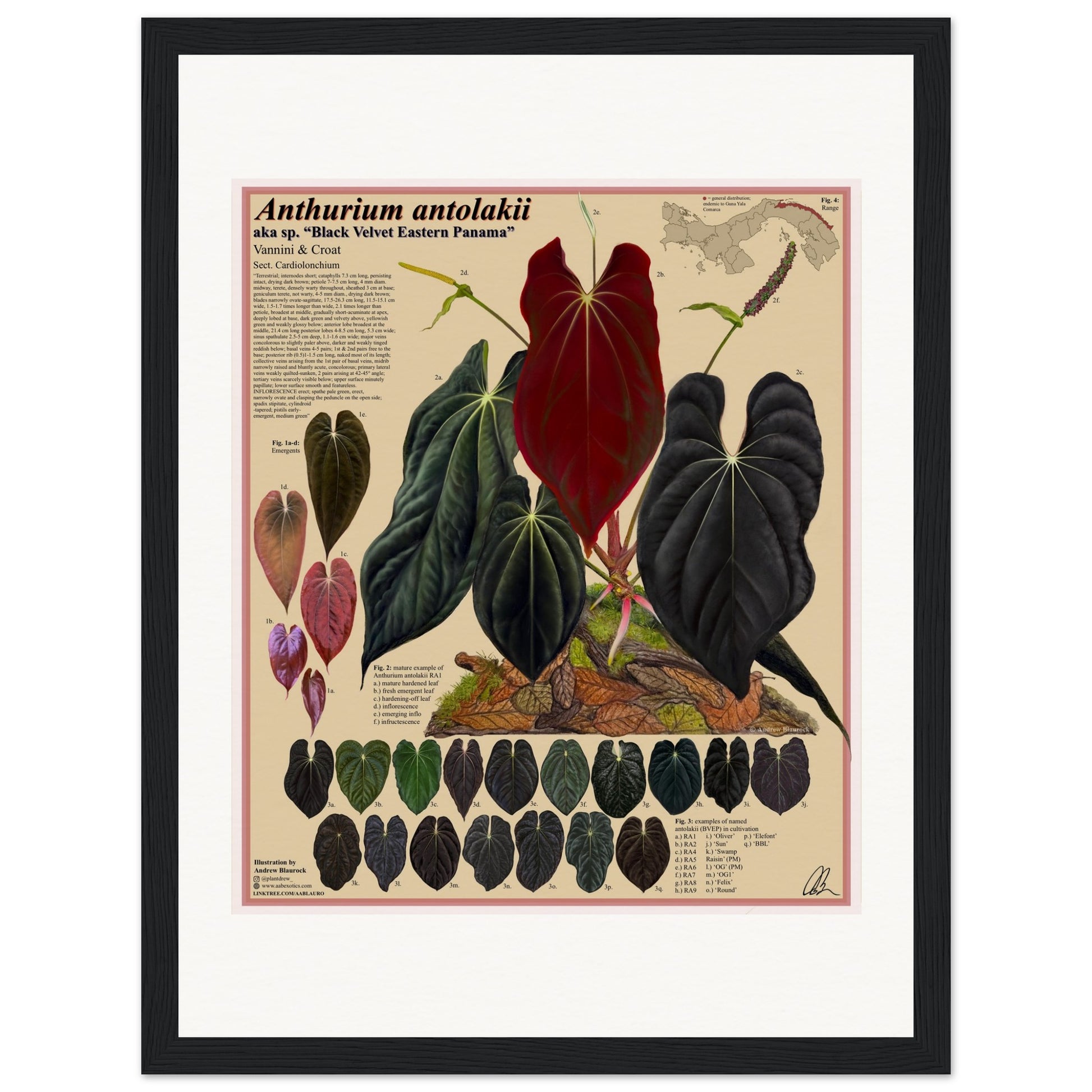 ebf65dbf-f729-42d7-a4a2-4b2fe647bda5