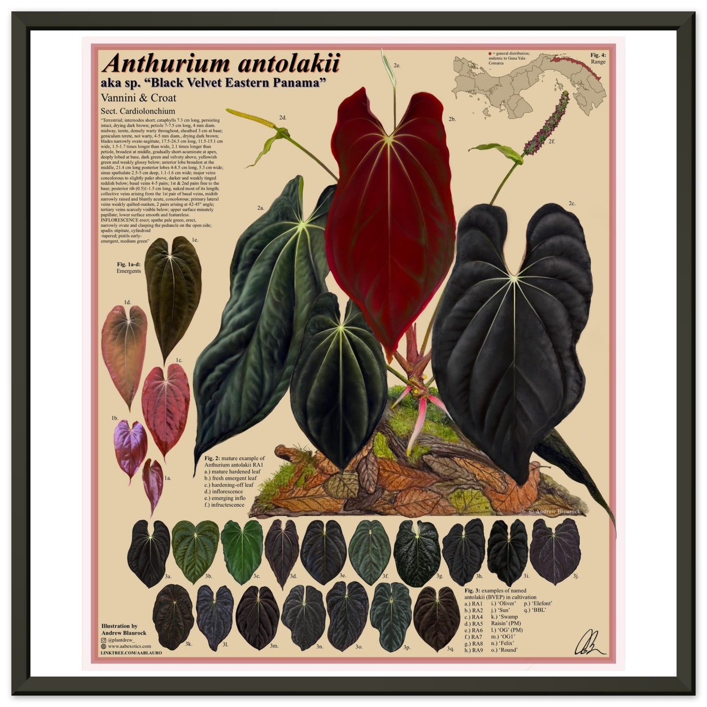 f2d0de51-248a-432c-9d4f-08c004109b89