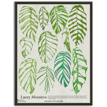 Lacey Monstera - Premium Semi-Glossy Paper Poster [Metal Framed]